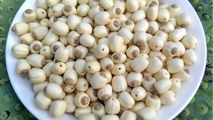 Những lợi ích bất ngờ từ hạt sen