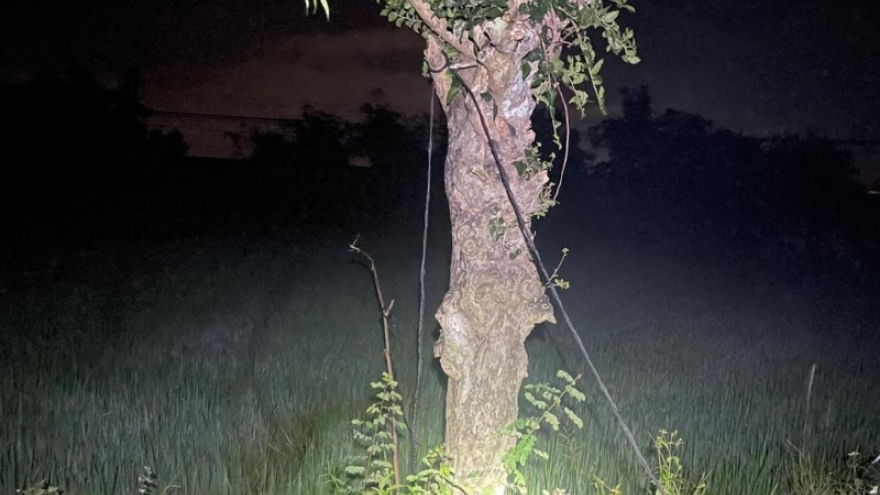 Phát hiện 2 người tử vong trên cánh đồng lúa ở Gia Lai