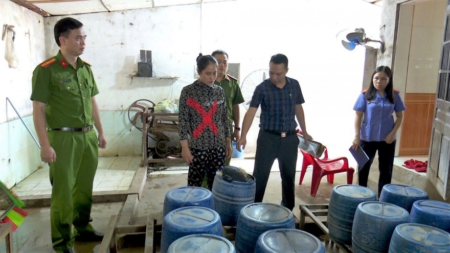 Khởi tố vụ vi phạm an toàn thực phẩm tại cơ sở sản xuất giá đỗ ở Ninh Bình