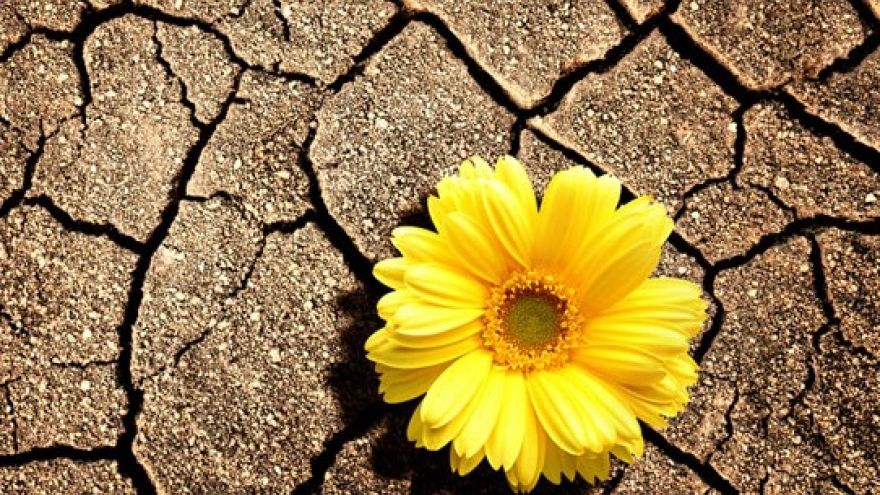 Đừng để đau rát và khô hạn cản trở hạnh phúc của bạn