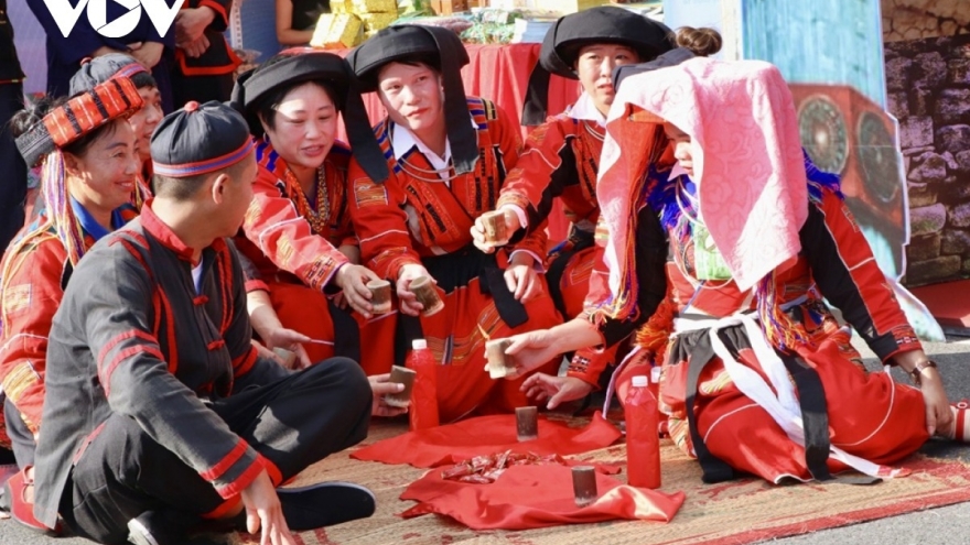 Văn hóa Việt Nam: Thống nhất trong đa dạng - sức mạnh mềm của dân tộc