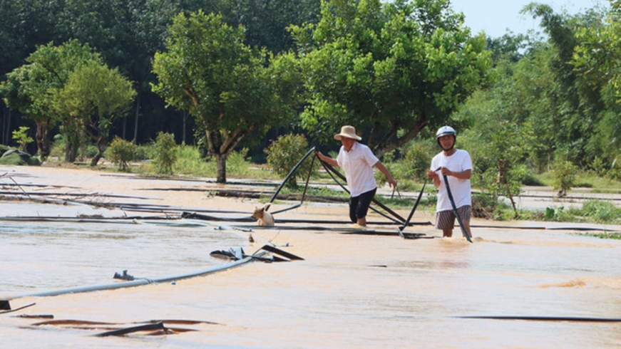 Nhiều nhà dân, vườn cây ở Đồng Nai bị ngập nặng