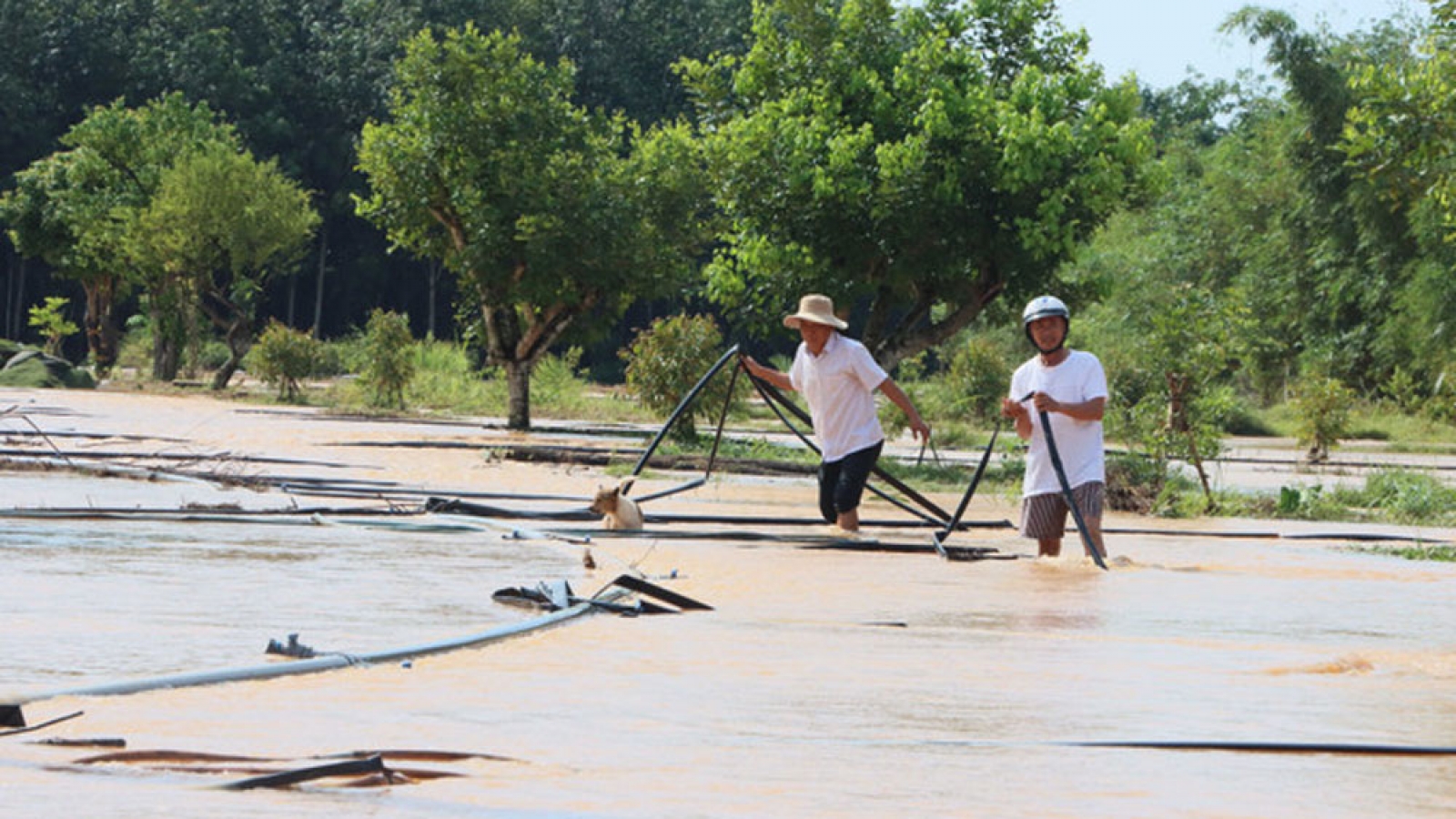 Nhiều nhà dân, vườn cây ở Đồng Nai bị ngập nặng