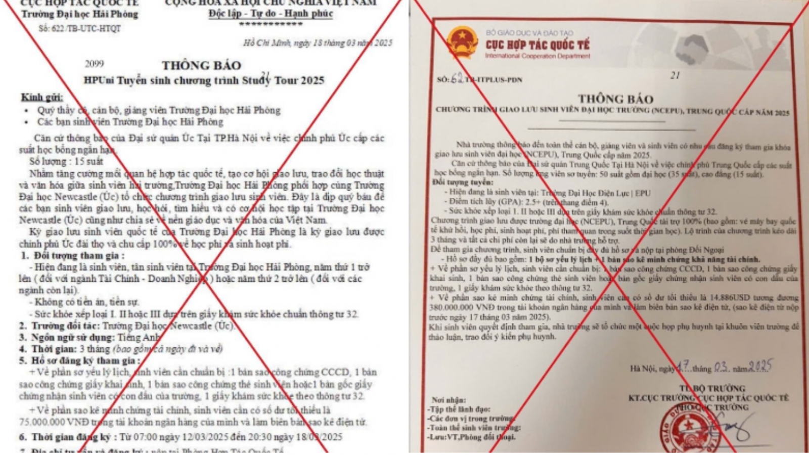 Bộ GD&ĐT cảnh báo thông tin giả về học bổng, tài trợ du học