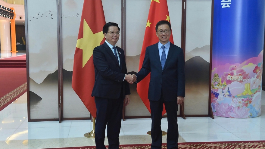 Phó Thủ tướng Mai Văn Chính hội kiến Phó Chủ tịch nước Trung Quốc