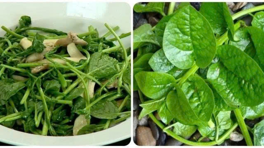 Rau mồng tơi và bài thuốc dân gian chữa táo bón cho trẻ