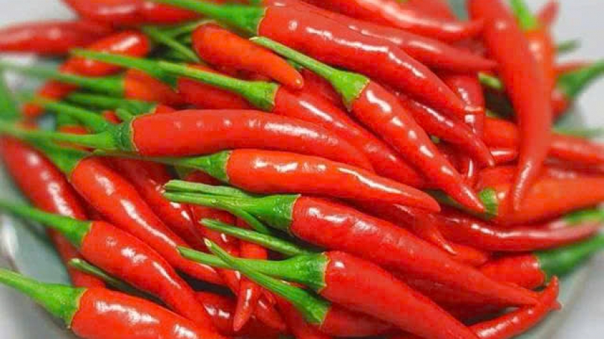 Khám phá tác dụng tuyệt vời của quả ớt