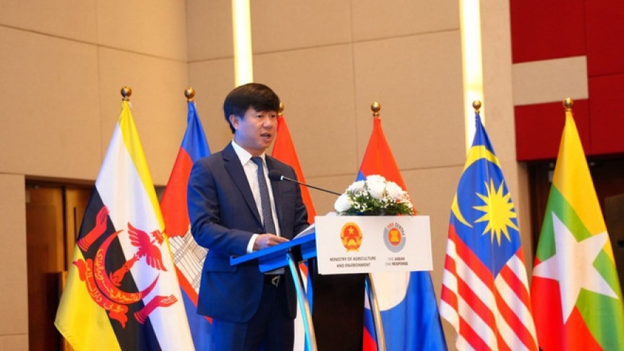 Vietnam backs ASEAN disaster response initiative