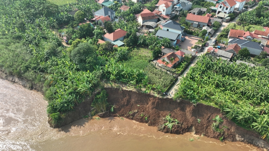 Phú Thọ khẩn cấp di dời nhiều hộ dân khỏi khu vực sạt lở bờ sông Thao