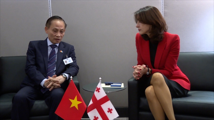 Quyền Bộ trưởng Ngoại giao Lê Hoài Trung gặp Bộ trưởng Ngoại giao Georgia