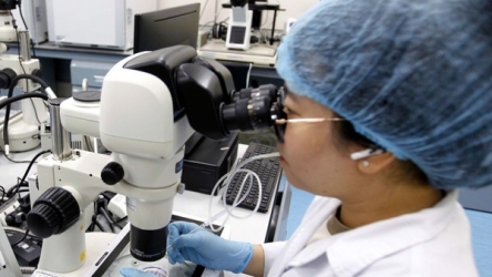 Policies issued to attract experts in science, technology, digital transformation
