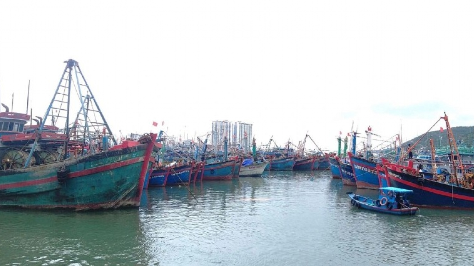 Storm Tapah forms in East Sea, coastal provinces urged to take swift response