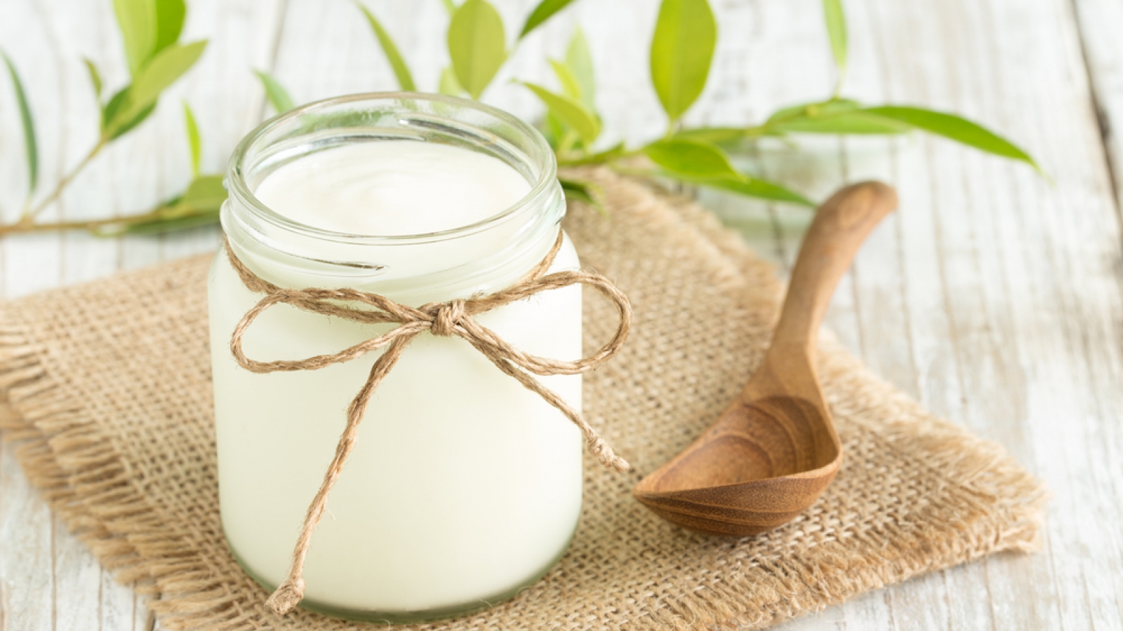 Bí quyết chăm sóc da an toàn từ sữa chua