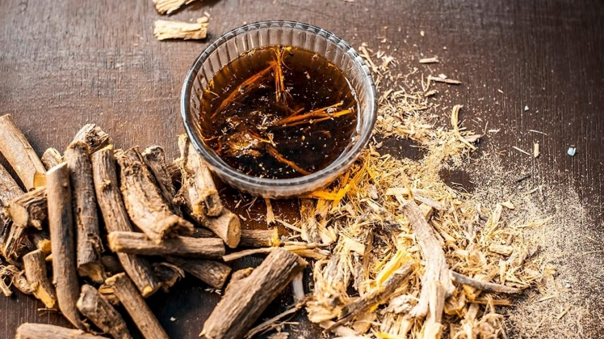 Việt Nam có loại cây khô vị ngọt như đường, là dược liệu quý lại ít người chú ý