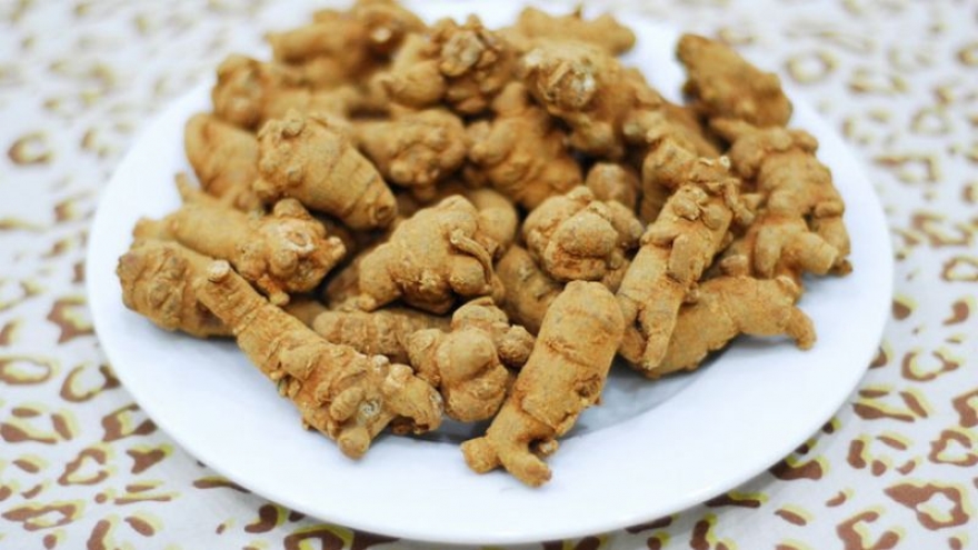 Vì sao tam thất được coi là “thảo dược vàng” cho phụ nữ?