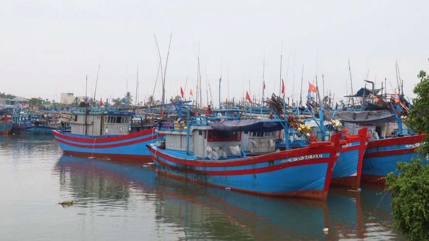 Quảng Ngãi cấm tàu thuyền ra biển hoạt động từ 17 giờ hôm nay