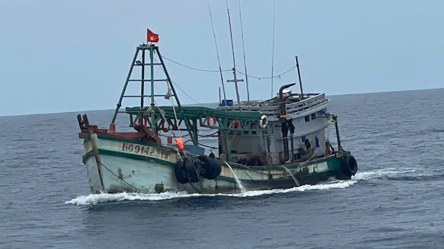 Kịp thời cấp cứu ngư dân bị rắn biển cắn