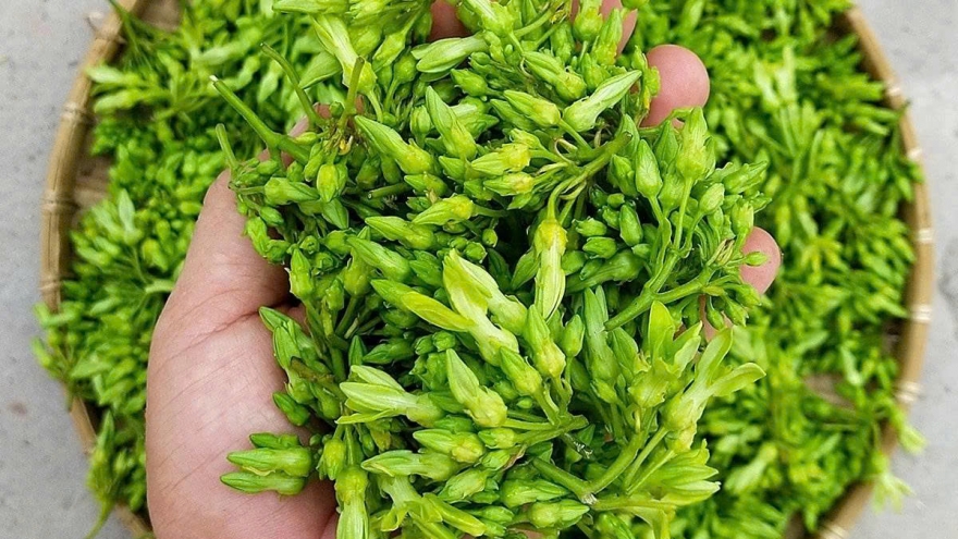 Khám phá công dụng sức khỏe từ hoa thiên lý