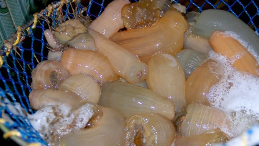 "Thần dược" cho phái mạnh xưa rẻ như cho nay có giá đắt đỏ