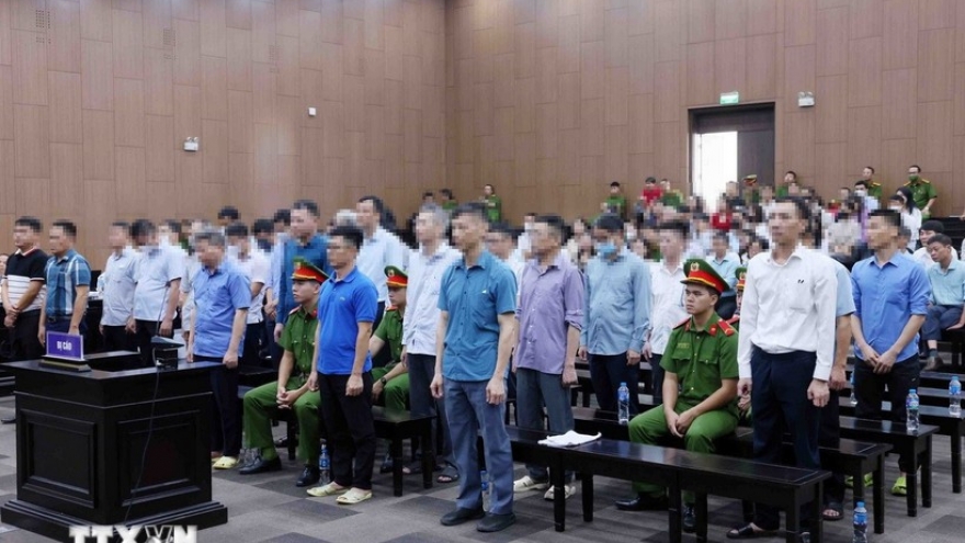 Thuan An Group case: Almost all US$4.59 million in damage recovered