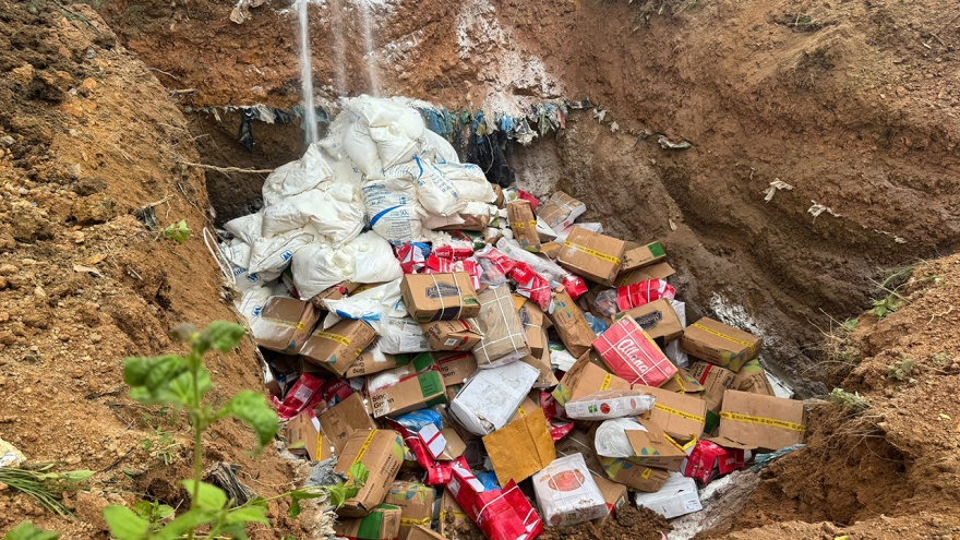 Chi cục QLTT tỉnh Quảng Trị tiêu hủy hơn 5,3 tấn thực phẩm nhập lậu