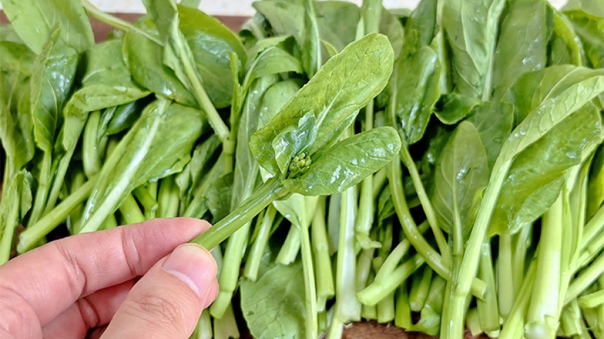 3 loại rau mùa thu giàu canxi nhan nhản chợ Việt, mọi người nên ăn thường xuyên