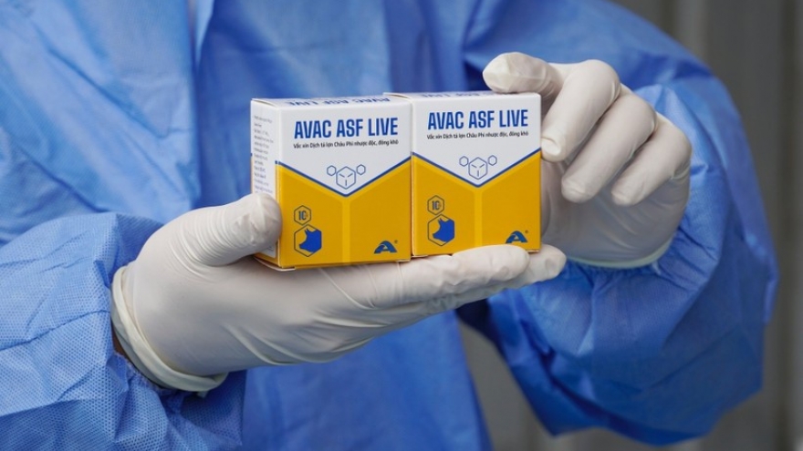 Vietnam exports additional 340,000 doses of ASF vaccine to Philippines