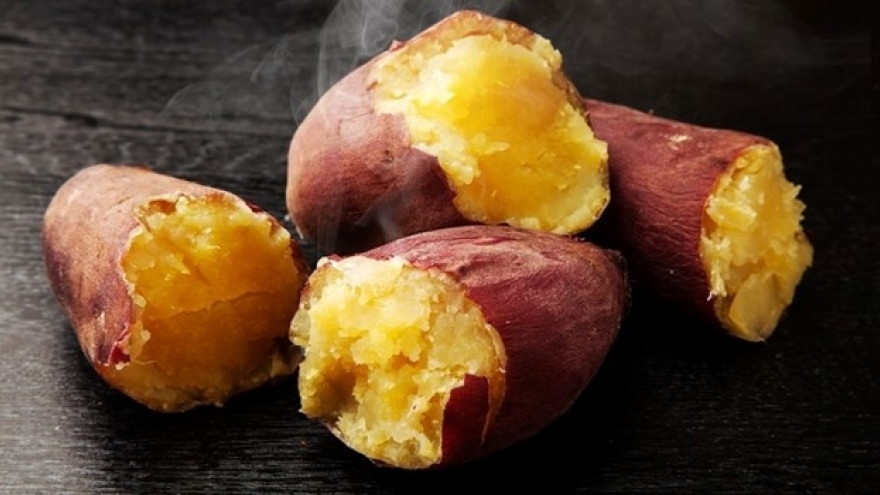 Khoai lang có thứ được ví như "thuốc bổ tự nhiên”, nhiều người lại thường bỏ đi