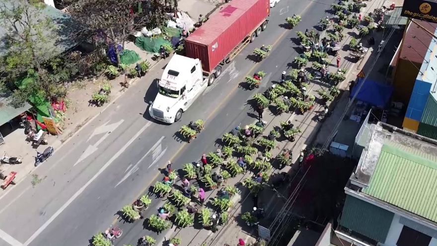 Di dời chỗ mua bán chuối chợ Tân Long sau vụ xe tải lao vào chợ làm 3 người chết