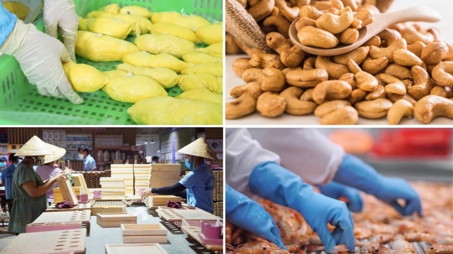 Xuất khẩu nông lâm thủy sản 8 tháng đạt 45,37 tỷ USD, tăng 12%