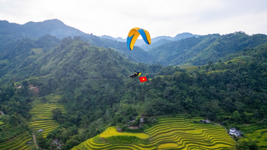 Bay dù lượn ngắm ruộng bậc thang mùa lúa chín tại Thông Nguyên, Tuyên Quang
