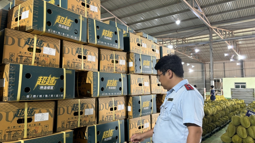 Ngành sầu riêng Đắk Lắk khẩn thiết tìm lối ra sau sự cố phòng xét nghiệm