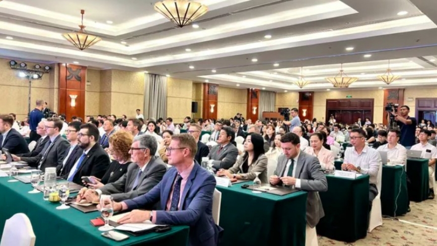 FDI partnership propels Ho Chi Minh City toward mega metropolis