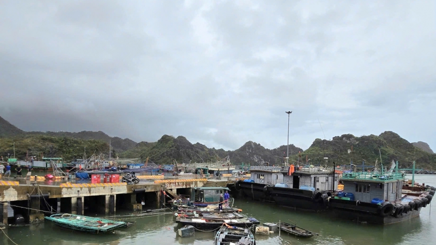 Hải Phòng: Cấm biển để phòng, chống bão số 11