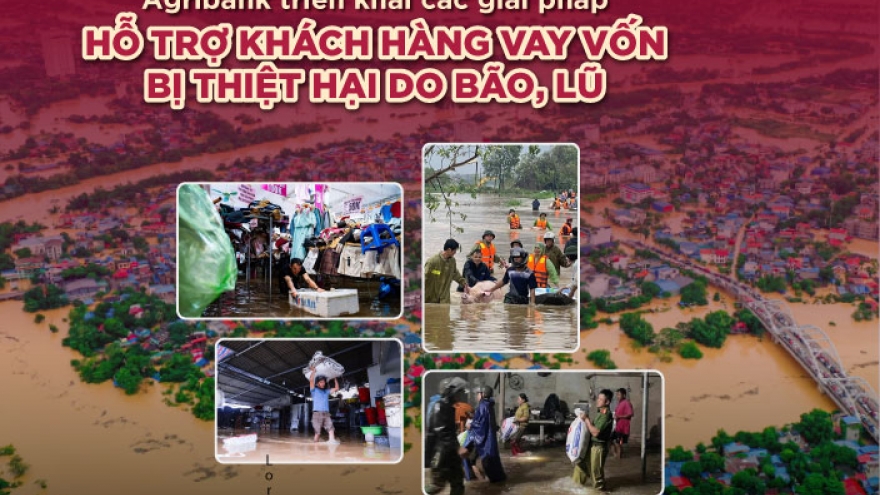 Agribank giảm tới 2%/năm lãi suất cho vay với khách hàng bị thiệt hại do bão, lũ