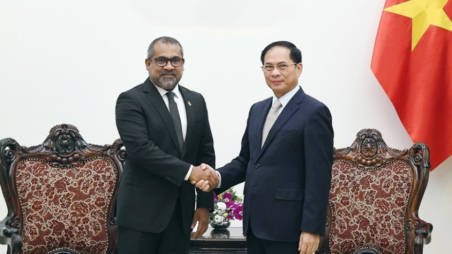 Vietnamese Deputy PM receives Maldivian Foreign Minister
