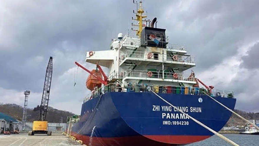 Panamanian ship detained at Vietnam port over cargo damage claim