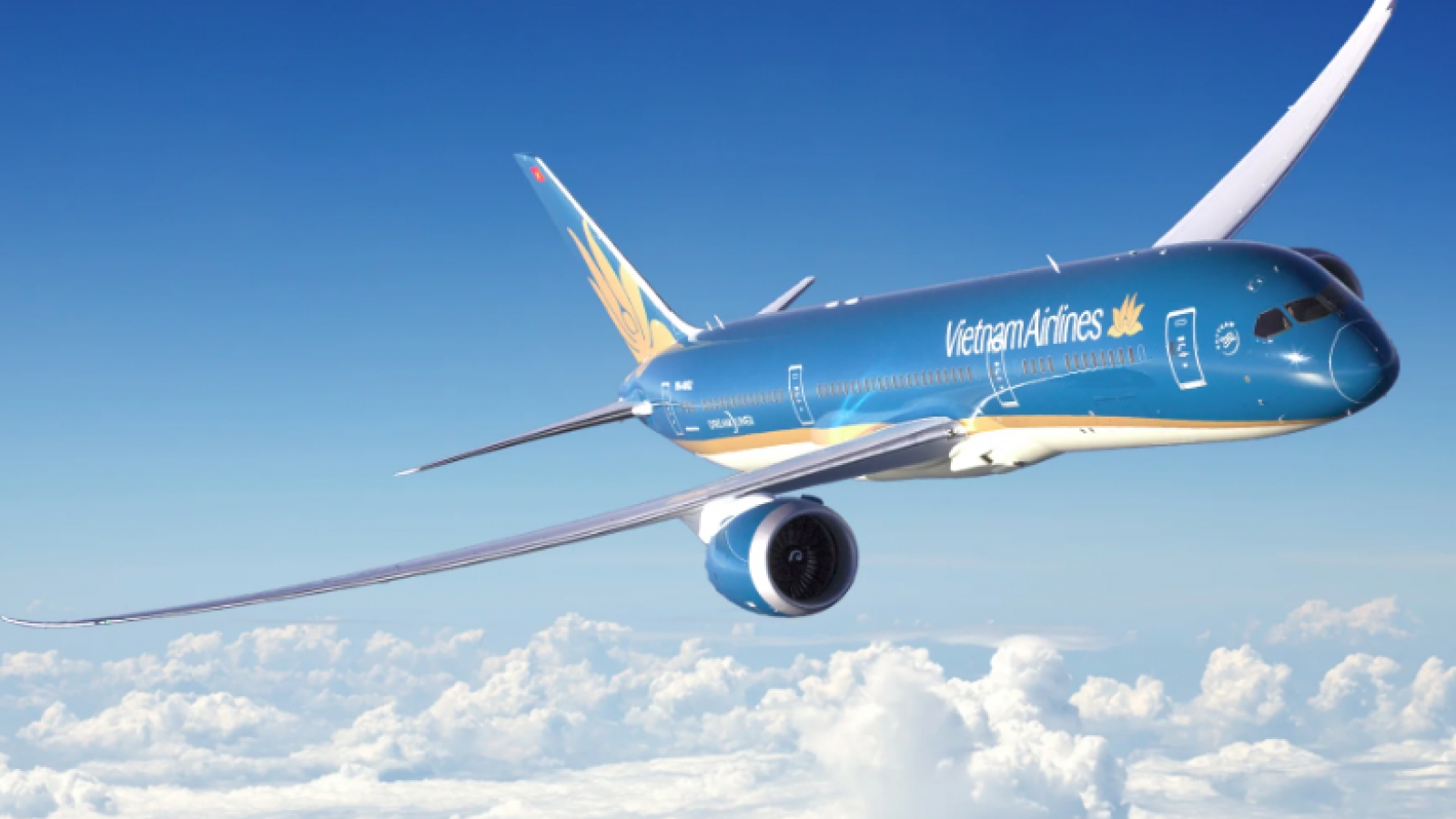 Vietnam Airlines to launch direct Hanoi-Cebu route in December