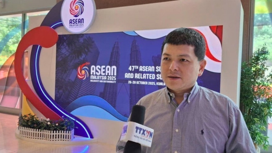 Vietnam plays crucial role in ASEAN, expert says