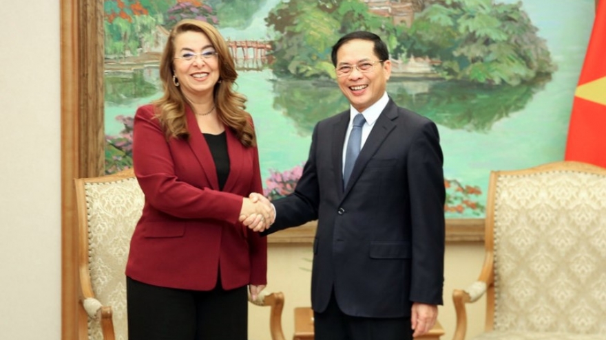 Vietnam, UNODC strengthen cooperation in crime prevention