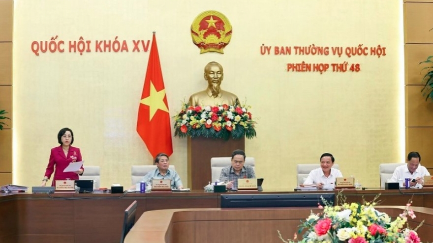 Resolution on People’s Councils’ election structure issued