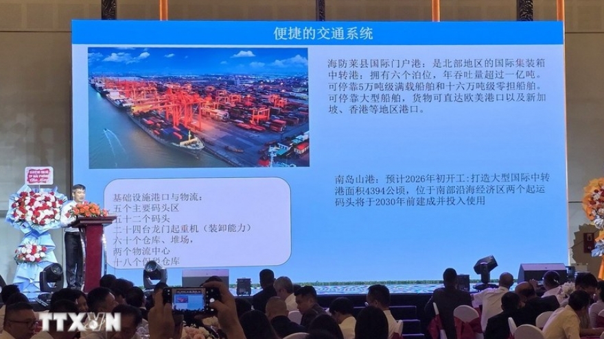 Vietnam – China friendship exchange fortifies business ties in Hai Phong
