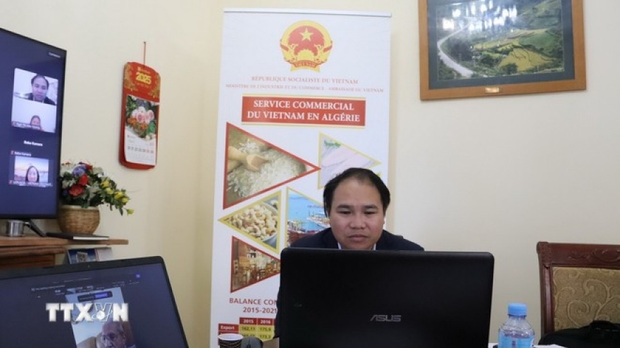 Vietnamese firms seek cooperation opportunities in African markets