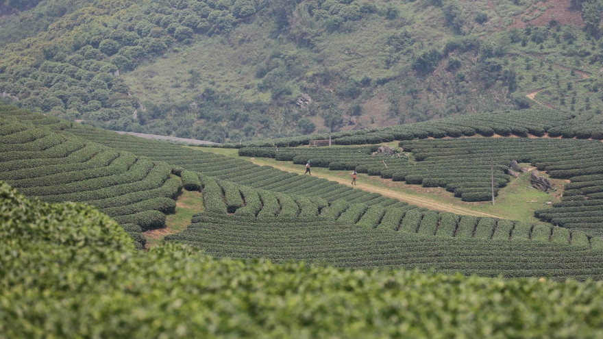 Sơn La đón hơn 4,6 triệu lượt khách du lịch