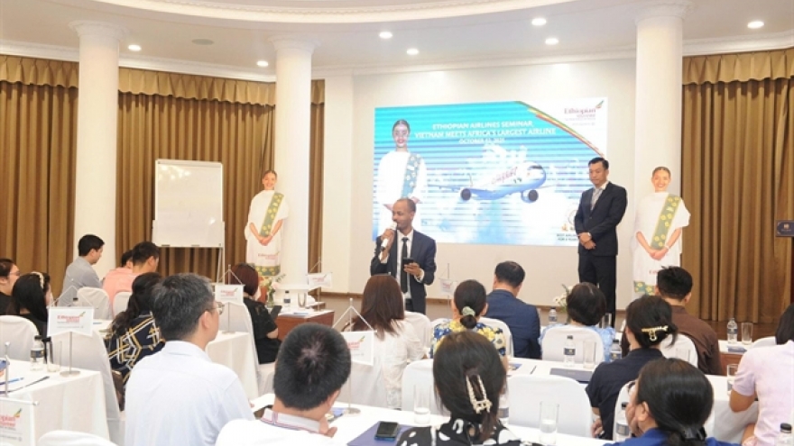 Direct link between Vietnam and Africa takes off
