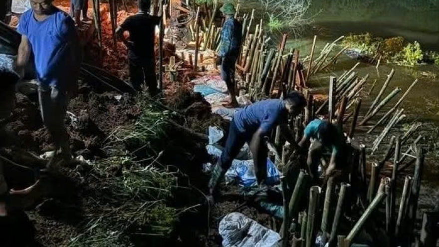 Hàng trăm người xuyên đêm hộ đê với tinh thần 'cứu đê là cứu mình'