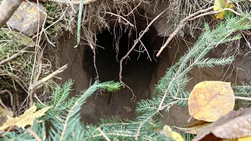 Ba Lan phát hiện đường hầm cho người di cư vượt biên ở gần biên giới