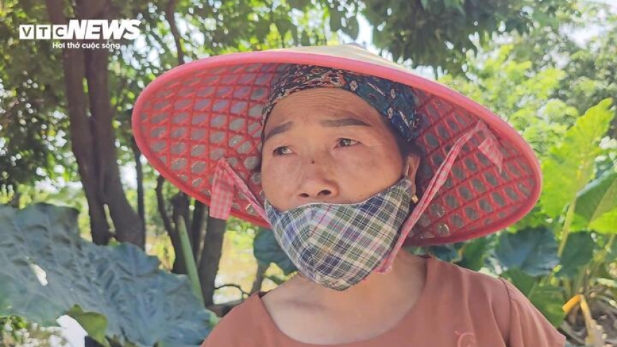 "Rốn lũ" Hà Nội: Tối nước còn mấp mé mép sân, trưa hôm sau đã tới nóc nhà