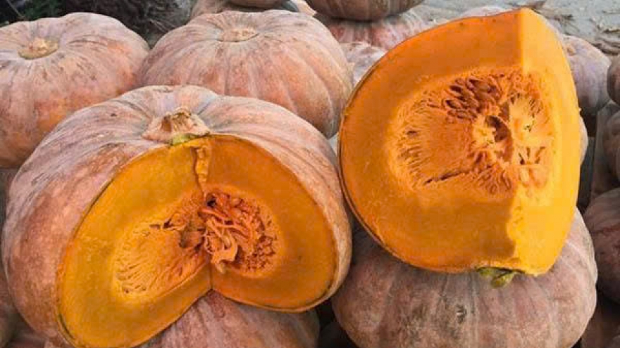 Bí ngô - "khắc tinh” hay "trợ thủ" của người tiểu đường?