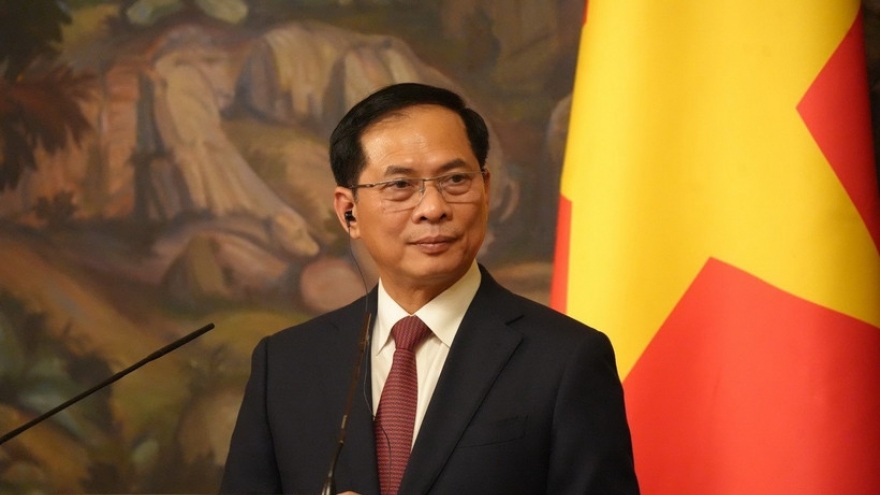 Phó Thủ tướng Bùi Thanh Sơn tham dự Hội đồng tư vấn kinh doanh APEC